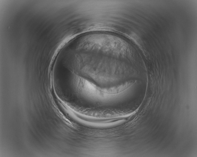 X0000057041371200509231436