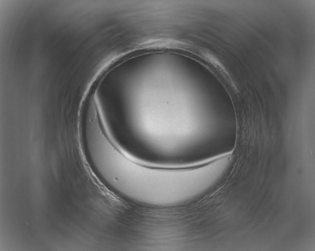 X0000057041376200509231436