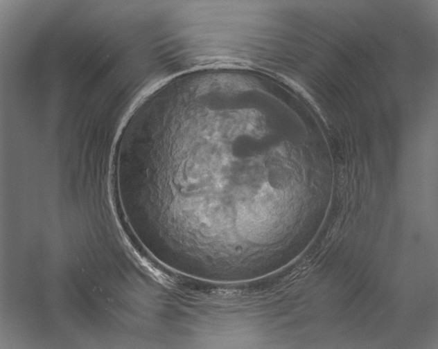 X0000057041379200509231436