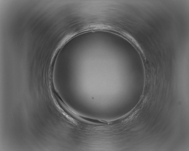 X0000057041381200509231436