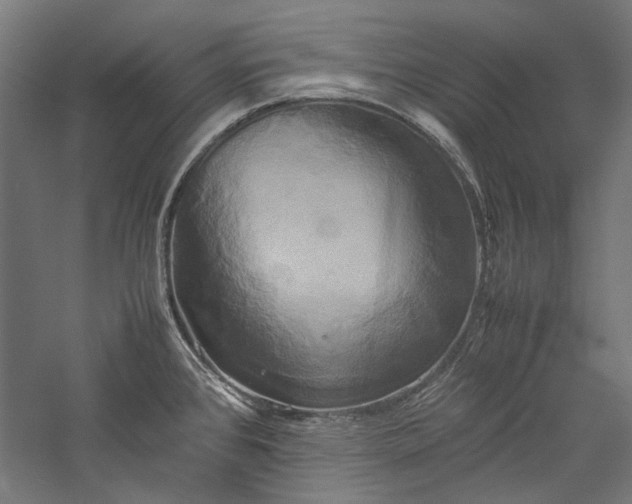 X0000057041384200509231436