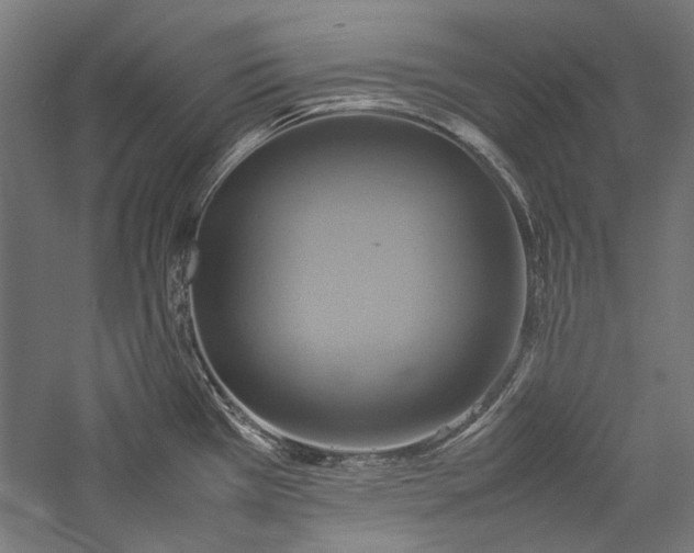 X0000057041385200509231436