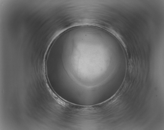 X0000057041388200509231435