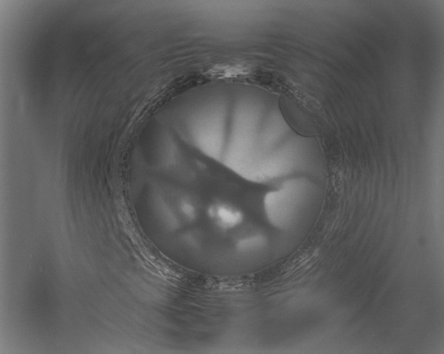 X0000057041393200509231435
