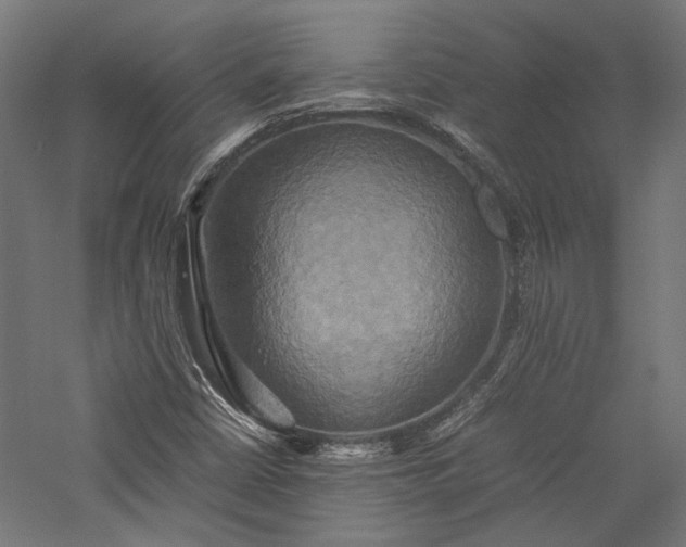 X0000057041402200509231435