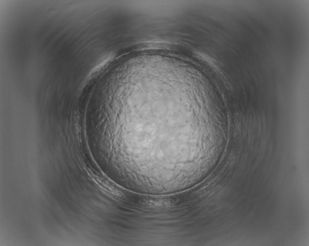 X0000057041403200509231435