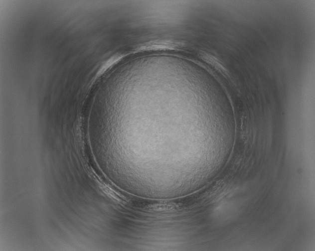 X0000057041404200509231435