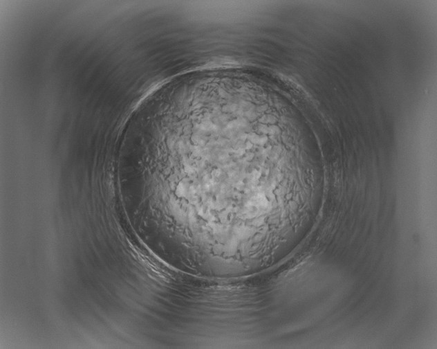 X0000057041409200509231435