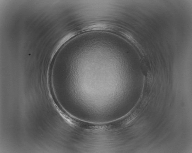 X0000057041426200509231435