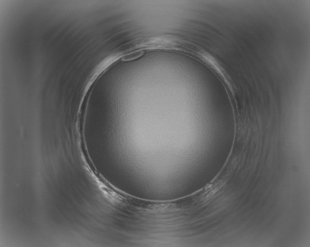X0000057041434200509231435