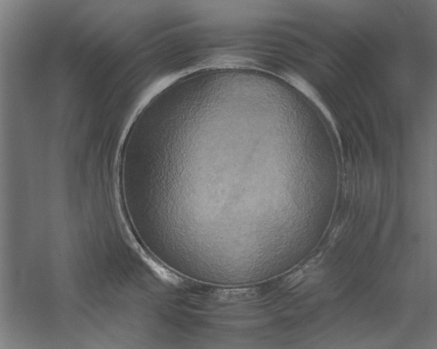 X0000057041437200509231435