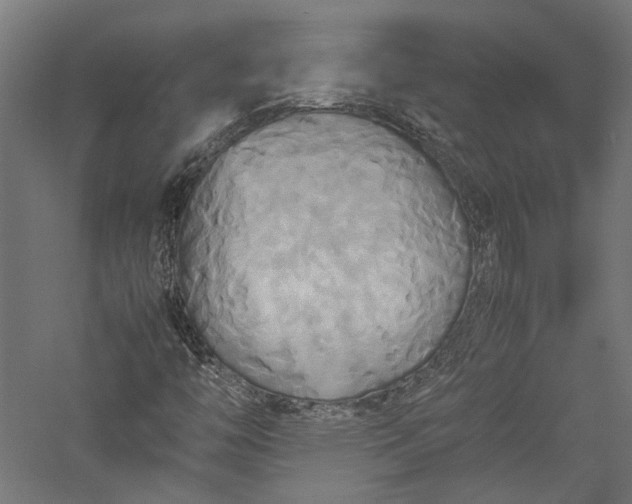 X0000057041446200509231434