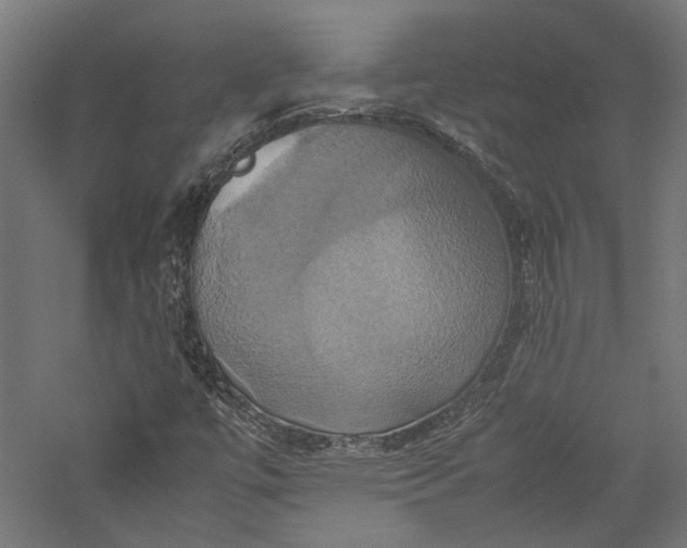 X0000057041447200509231434