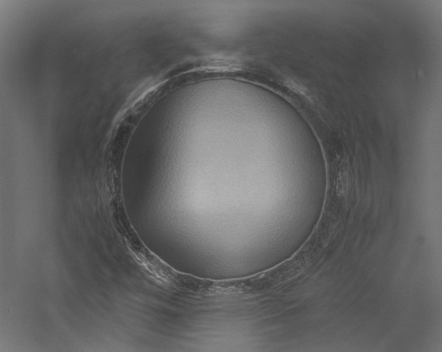 X0000057041448200509231434