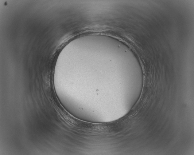 X0000057041451200509231434