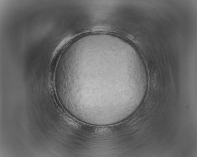 X0000057041454200509231434
