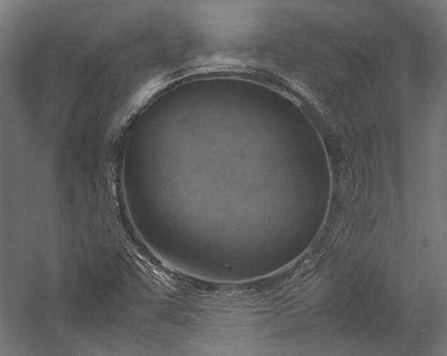 X0000057041455200509231434