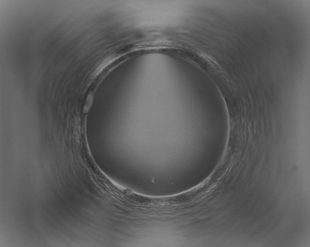 X0000057041457200509231434