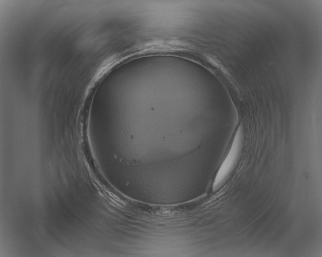 X0000057041459200509231434