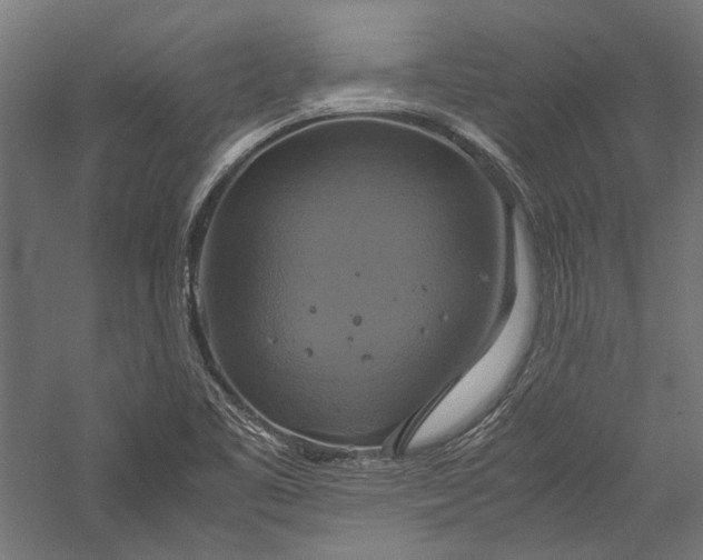 X0000057041461200509231434