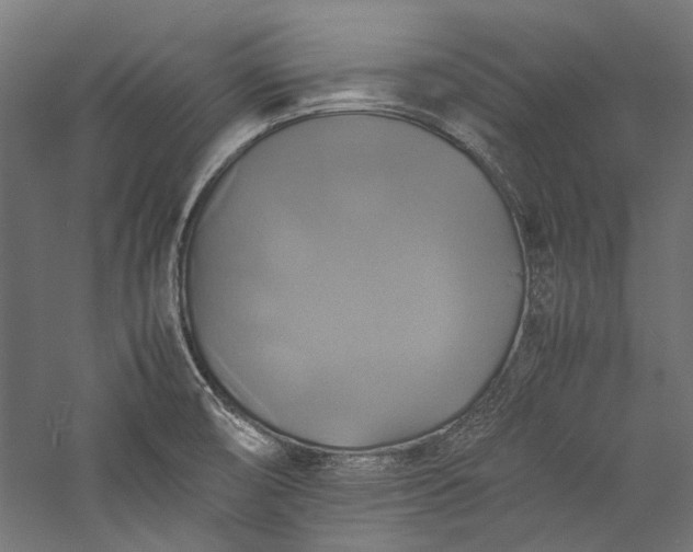 X0000057041474200509231434