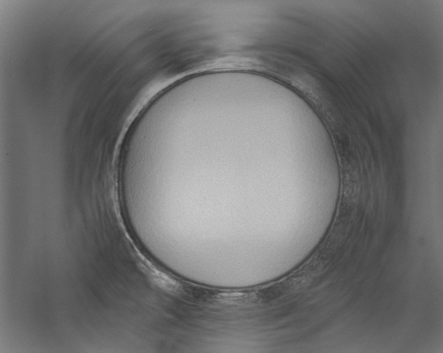 X0000057041478200509231434