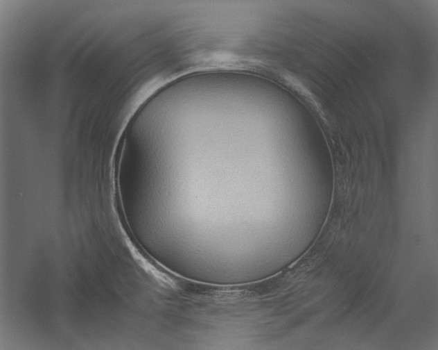 X0000057041479200509231434