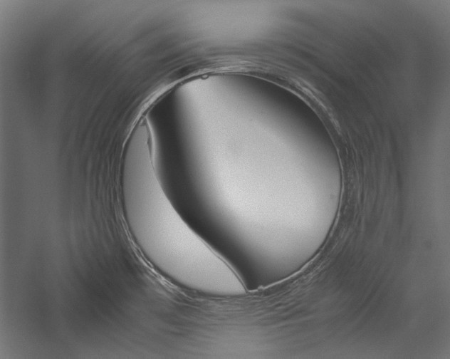 X0000057041481200509231434