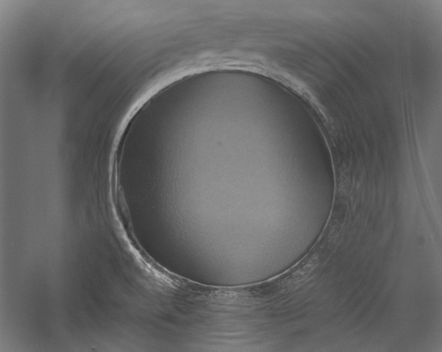 X0000057041520200509231433