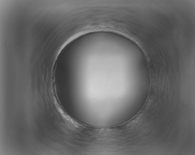 X0000057041534200509231434