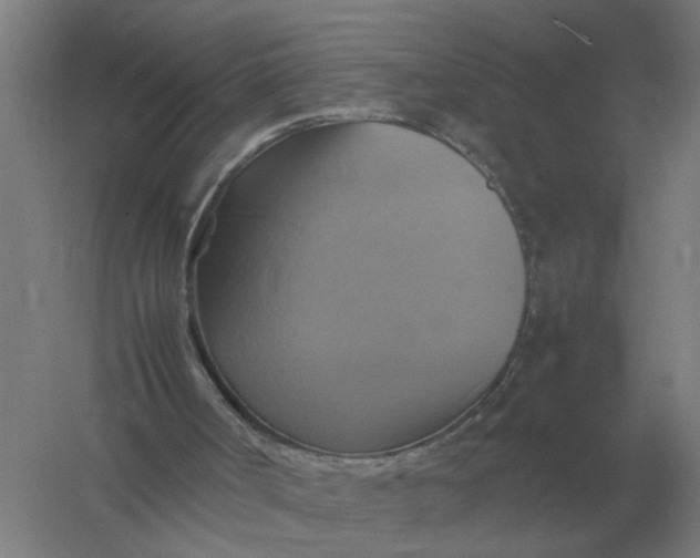 X0000057040002200510010026