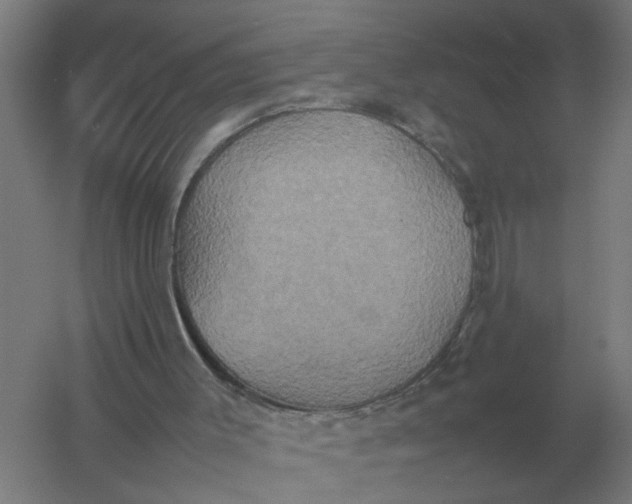 X0000057040003200510010026