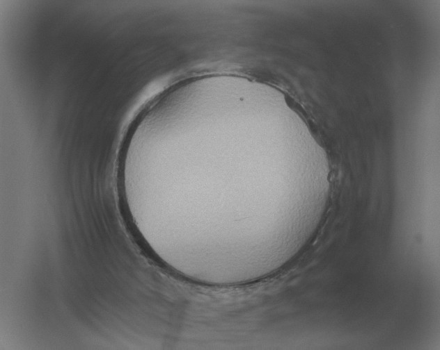 X0000057040006200510010026