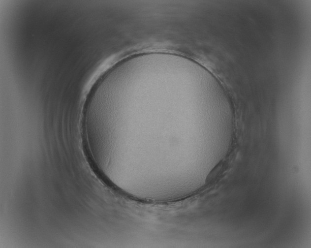 X0000057040007200510010026
