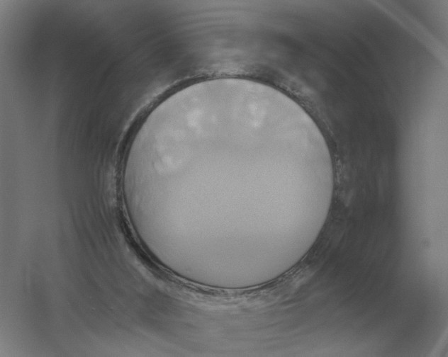 X0000057040012200510010026