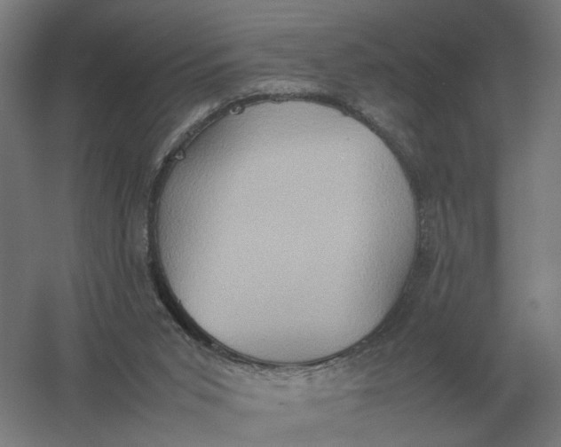 X0000057040015200510010026