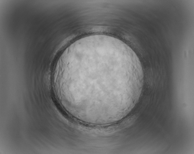 X0000057040016200510010026
