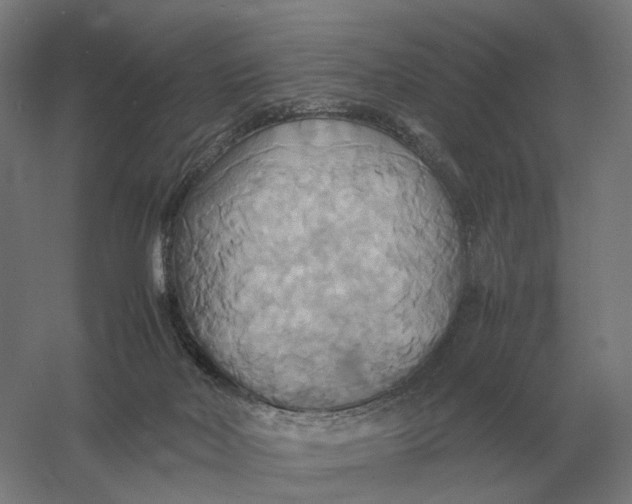 X0000057040026200510010026