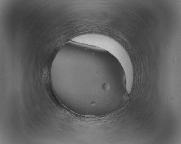 X0000057040029200510010026