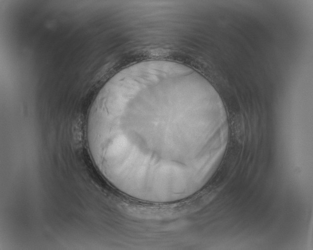 X0000057040032200510010026