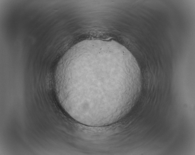 X0000057040034200510010026