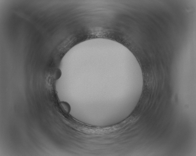 X0000057040036200510010026