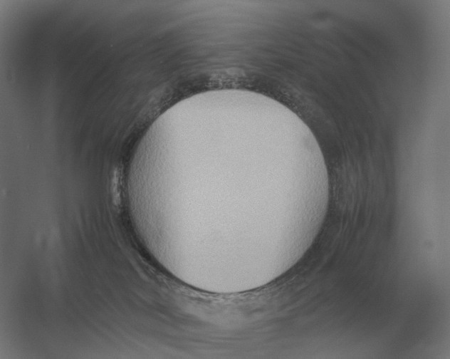 X0000057040038200510010026