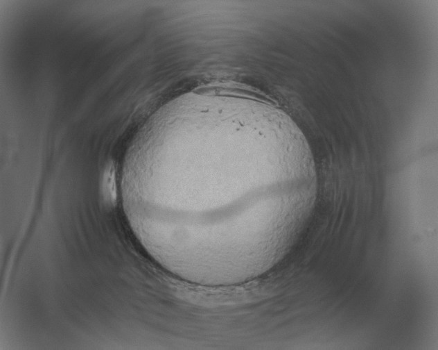 X0000057040042200510010026