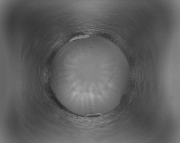 X0000057040043200510010026