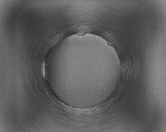 X0000057040046200510010026
