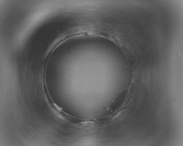 X0000057040052200510010025