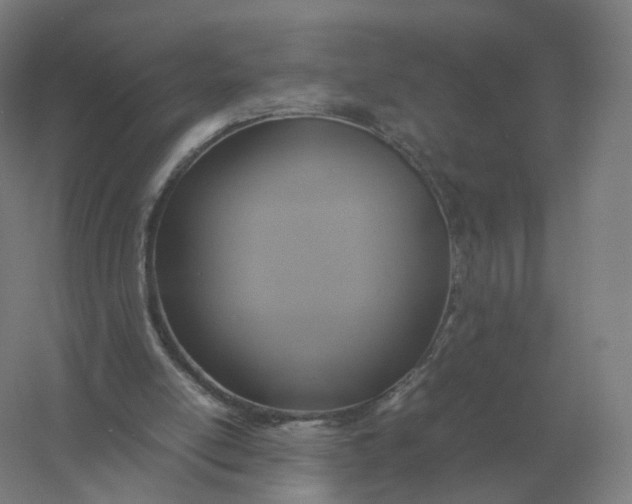 X0000057040054200510010025