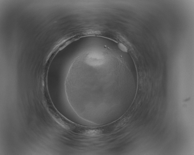 X0000057040059200510010025