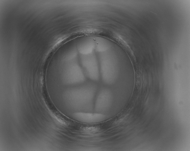 X0000057040063200510010025